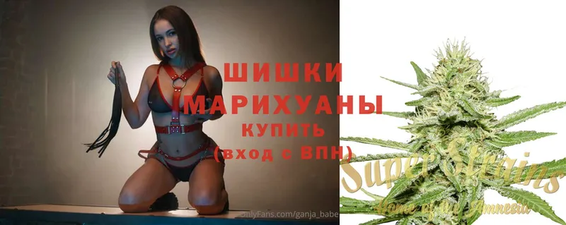 Шишки марихуана гибрид  Ставрополь 